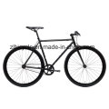 Urban Cyclist Hot Sale Single Fixie Gear Bicycles